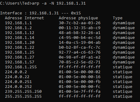 Table ARP affichée dans la console depuis un ordinateur Windows