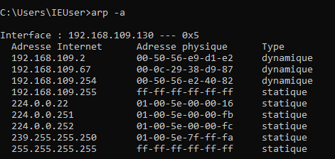 Une capture d’écran de la console windows indiquant le contenu de la table ARP